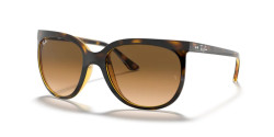 Ray-Ban RB 4126 CATS 1000 - 710/51 LIGHT HAVANA light brown gradient