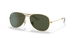 Ray-Ban RB 3362 COCKPIT - 001 ARISTA GOLD g-15 green