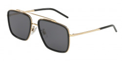 Dolce&Gabbana DG 2220 02/81  GOLD/BLACK polar grey