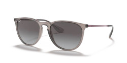 Ray Ban RB 4171 ERIKA - 65138G TRANSPARENT GREY grey gradient