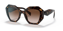 Prada PR 16WS - 2AU6S1  TORTOISE brown gradient
