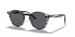 Ray-Ban RB 2180 - 643087 STRIPED GREY HAVANA  grey classic