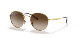Ray-Ban RB 3681 - 001/13 ARISTA GOLD  gradient brown