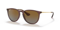 Ray Ban RB 4171 ERIKA - 6593T5 TRANSPARENT DARK BROWN brown gradient polar