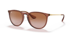 Ray Ban RB 4171 ERIKA - 659013 TRANSPARENT LIGHT BROWN gradient brown
