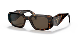 Prada PR 17WS - 2AU8C1 TORTOISE brown