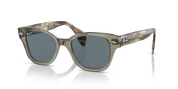 Ray-Ban RB 0880S - 66353R TRANSPARENT GREEN dark blue polarized