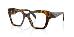 Prada PR 09ZV - VAU1O1 Honey Tortoise