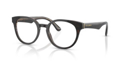 Dolce&Gabbana DG 3361 - 3256 HAVANA/TRANSPARENT BROWN