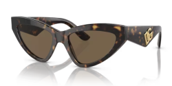 Dolce&Gabbana DG 4439 - 502/73 HAVANA dark brown