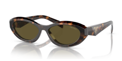 Prada PR 26ZS - 14L09Z SAGE/HONEY TORTOISE dark brown