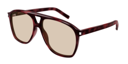 Saint Laurent SL 596 DUNE - 003 HAVANA brown