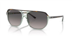 Ray-Ban RB 2205 BILL ONE - 1376M3 HAVANA ON TRANSPARENT GREEN  polarized grey