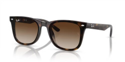 Ray-Ban RB 4420 - 710/13 HAVANA brown