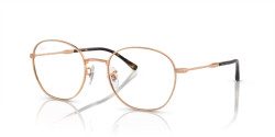 Ray-Ban RX 6509 - 3094 ROSE GOLD