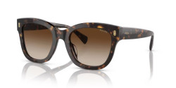 Ralph RA 5301U - 500313 SHINY DARK HAVANA gradient brown