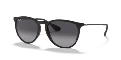 Ray Ban RB 4171 ERIKA - 622/8G RUBBER BLACK grey gradient