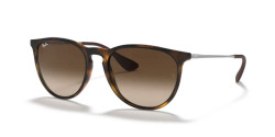 Ray Ban RB 4171 ERIKA - 865/13 HAVANA brown