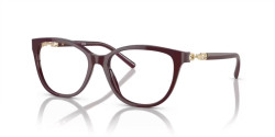 Emporio Armani EA 3190 - 5576 SHINY BORDEAUX