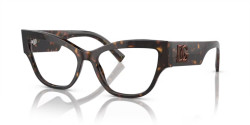 Dolce&Gabbana DG 3378 - 502 HAVANA