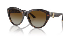 Jimmy Choo JC 5007 - 5002T5 HAVANA polarized gradient brown