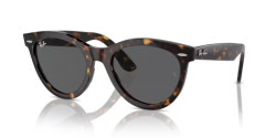 Ray-Ban RB 2241 WAYFARER WAY - 902/B1 HAVANA dark grey