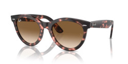 Ray-Ban RB 2241 WAYFARER WAY - 133451 PINK HAVANA clear & brown