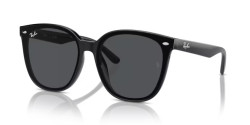 Ray-Ban RB 4423D - 601/87 BLACK dark grey