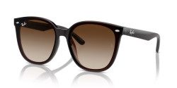 Ray-Ban RB 4423D - 714/13 TRANSPARENT BROWN brown