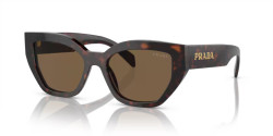 Prada PR A09S - 16N5Y1 BRIAR TORTOISE dark brown