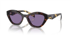 Prada PR A02S - 17N50B HAVANA violet mirror internal silver