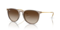 Ray Ban RB 4171 ERIKA - 674413 TRANSPARENT LIGHT BROWN brown