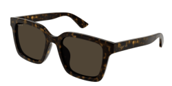 Gucci GG 1582SK - 002 HAVANA brown