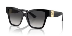 Dolce&Gabbana DG 4470 - 501/8G BLACK dark grey