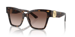 Dolce&Gabbana DG 4470 - 502/13 HAVANA brown gradient