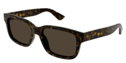 Gucci GG 1583S - 002 HAVANA brown