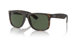 Ray-Ban RB 4165 JUSTIN - 865/9A HAVANA polarized dark green