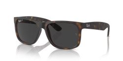 Ray-Ban RB 4165 JUSTIN - 865/87 HAVANA polarized dark grey