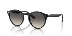 Ray-Ban RB 2180 - 601/11 BLACK grey