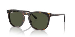 Ray-Ban RB 2210 - 902/31 HAVANA green