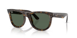 Ray-Ban RBR 0502S WAYFARER REVERSE - 6790VR DARK HAVANA dark green