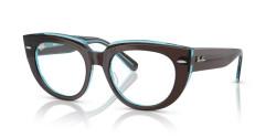 Ray-Ban RX 5586 DOREEN - 8366 BROWN ON TRANSPARENT BLUE