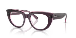 Ray-Ban RX 5586 DOREEN - 8364 VIOLET ON TRANSPARENT PINK