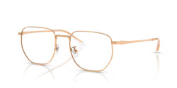 Ray-Ban RX 8776D - 1248 ROSEGOLD