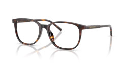 Dolce&Gabbana DG 3426 - 502 HAVANA