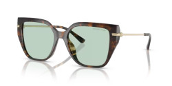 Michael Kors MK 2231U ST. BARTHS - 3006M1 DARK TORTOISE green solid photochromic