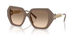 Michael Kors MK 2232U SOUTH BEACH - 400313 ASH ash gradient