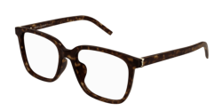 Saint Laurent SL M142/F - 002 HAVANA