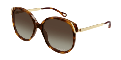 Chloe CH 0285S - 002 HAVANA double gradient brown
