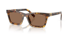 Miu Miu MU A05S - 14L60M HONEY HAVANA dark brown
